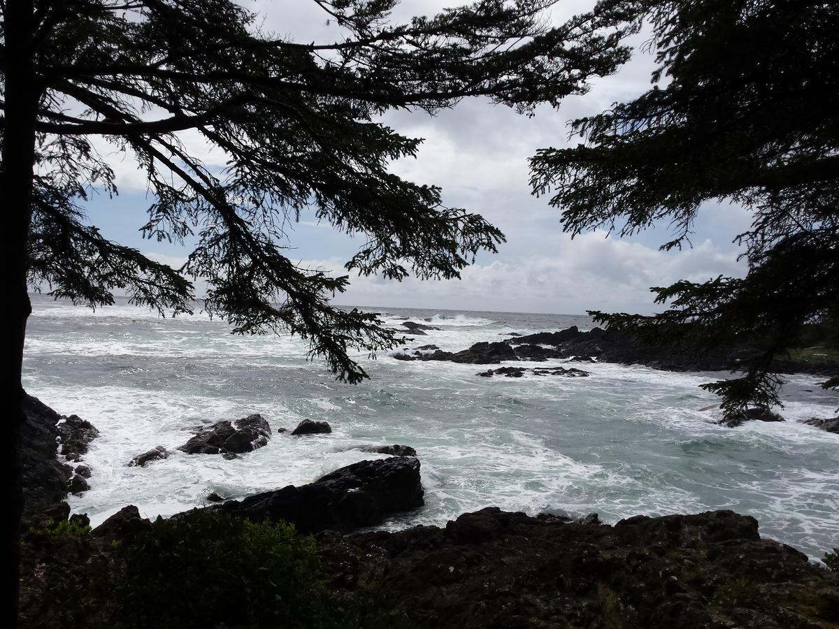 Odyssey Shores Guest Suite Ucluelet Exterior photo