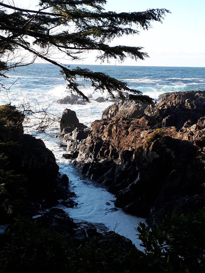 Odyssey Shores Guest Suite Ucluelet Exterior photo